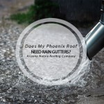 rain gutters native