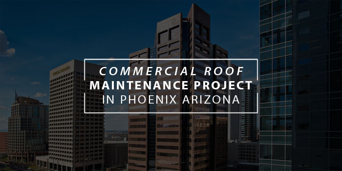 commercial roof maintenance project