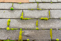 Moss and other greenery appearing on it is a sign that you need a roof replacement